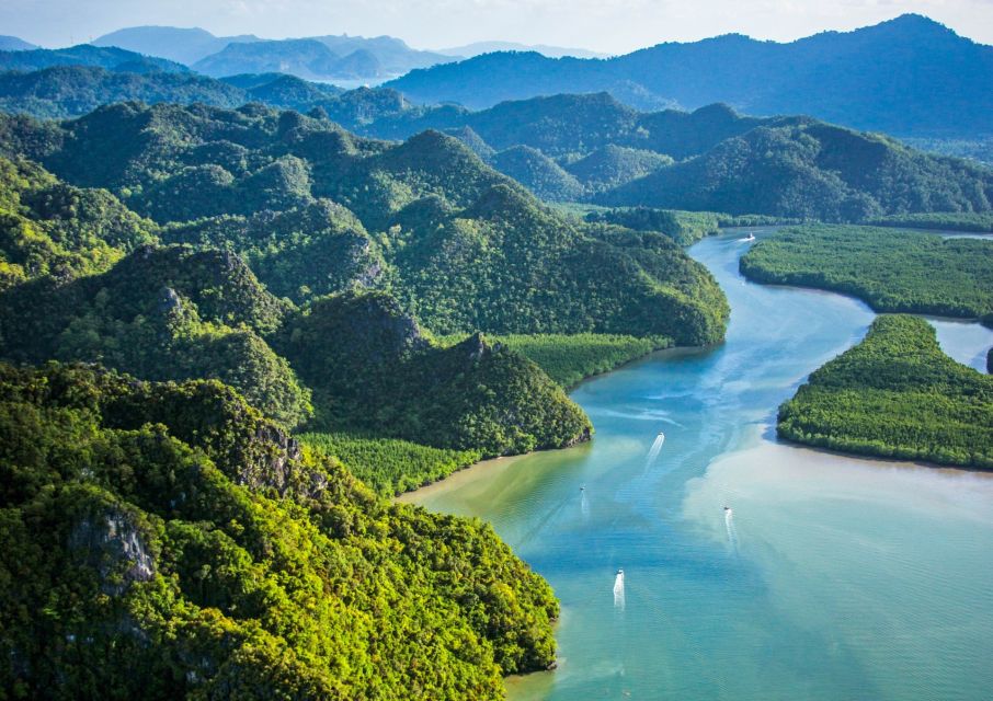 Mangrove-2.jpg